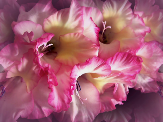 530883 (a): :1600x1200